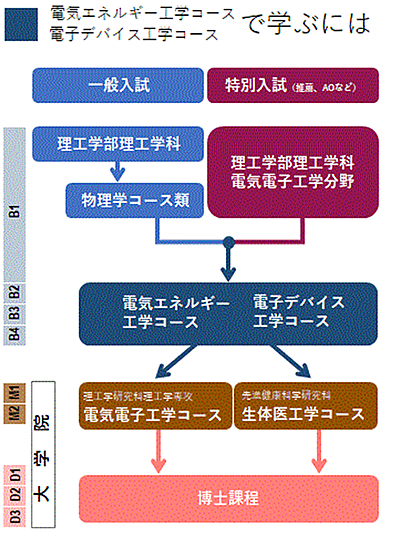 大学入学から大学院進学への道