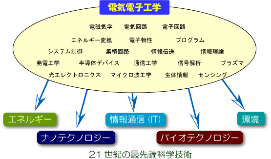 学科/コース概要